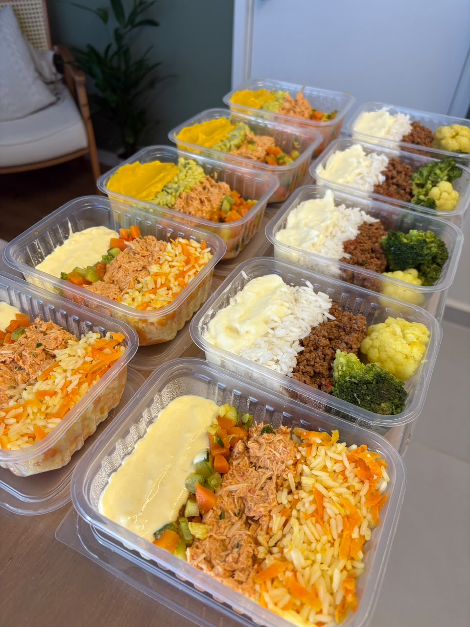 Frango desfiado com arroz e legumes picados